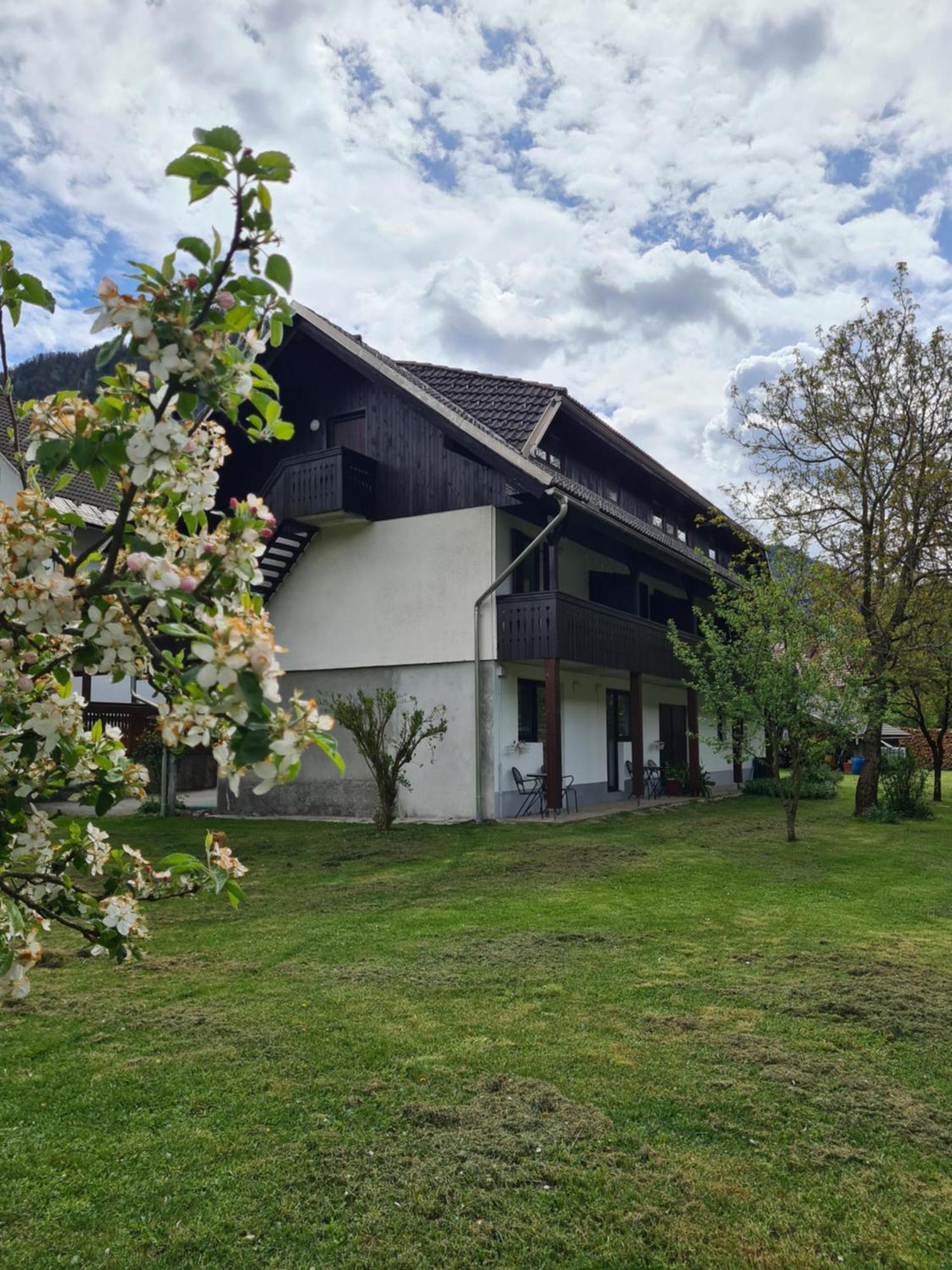 Gostilna Batist Bed & Breakfast Bohinjska Bela Eksteriør bilde